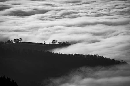 hill covered by plants and clouds thumbnail