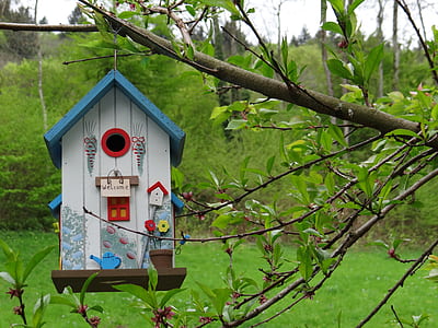 white and blue birdhouse hanging on branch of tree thumbnail