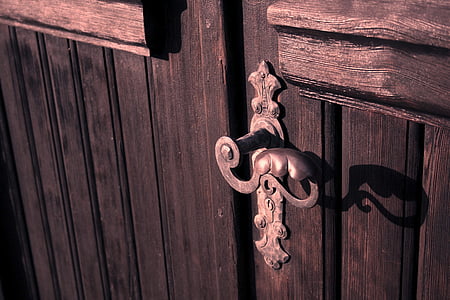 brass door knob on brown door thumbnail