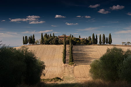 tilled fields photo during daytime thumbnail