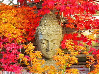 gray Buddha head statue beside leaves thumbnail