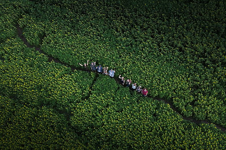 group of people in the middle of green field thumbnail