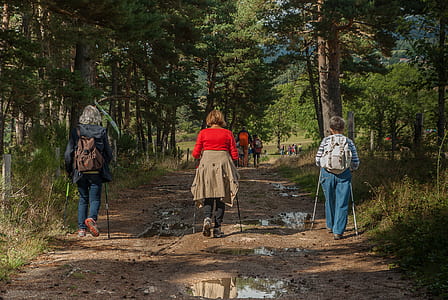 three person walking on dirt between grasses thumbnail
