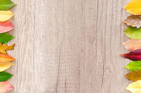 Leaves of Brown Wooden Table thumbnail