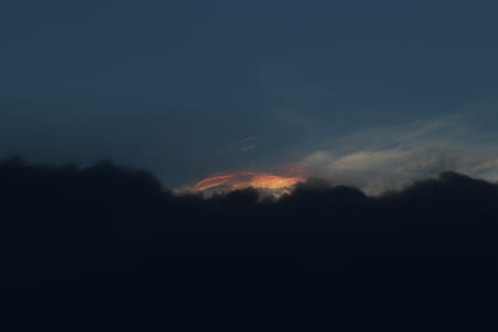 forest at nighttime thumbnail