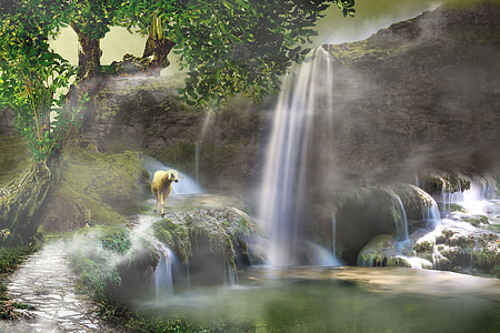 falls in forest surface thumbnail