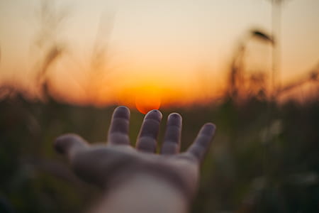 shallow focus photography of person's left hand thumbnail