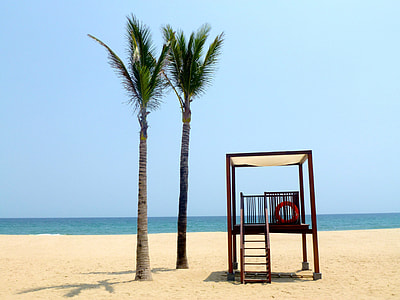 two coconut trees beside bench near sea at daytime thumbnail