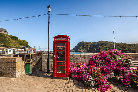 red telephone booth beside flowers thumbnail
