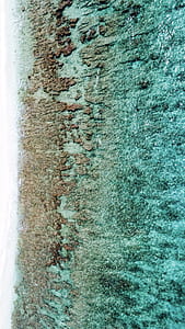 seashore near body of water thumbnail