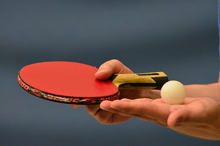 tilt-shift photography of ping pong paddle with ball thumbnail