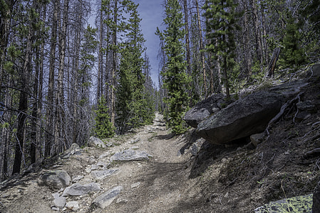 Hiking path up Elkhorn Mountain thumbnail