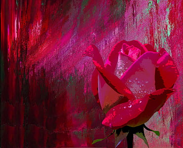 red rose painting thumbnail