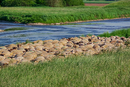 rocks near body of water thumbnail