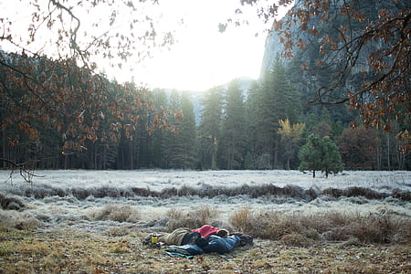 person leaning on floor surrounded with trees at daytime thumbnail