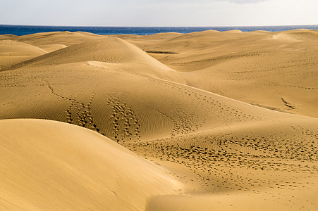 sand dunes during daytime thumbnail