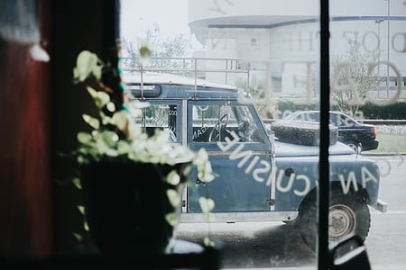 gray Land Rover Defender outside the stall thumbnail
