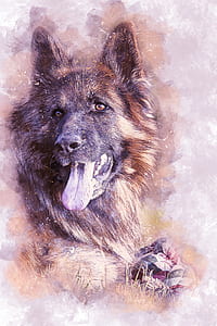 black and tan German shepherd painting thumbnail