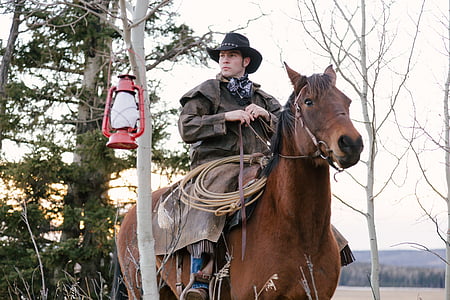 man riding horse holding bridle thumbnail