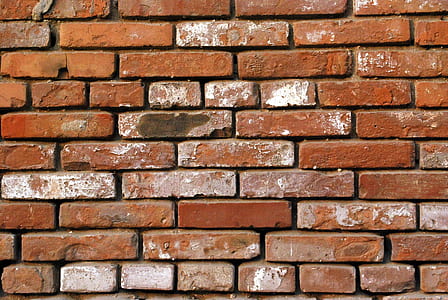 close-up photo of clay wall bricks thumbnail