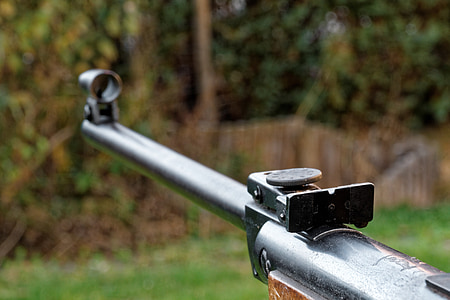 gray rifle in front of trees thumbnail