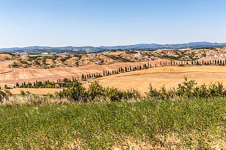 landscape photography of farm under clear blue sky thumbnail