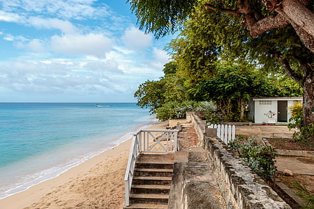 clearwater villa beach, barbados, atlantic ocean, stairs, tropical trees thumbnail
