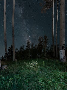 starry night thumbnail