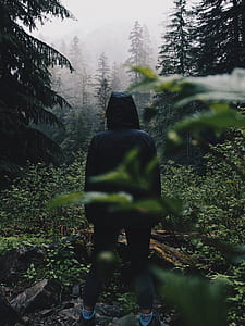 person standing on forest with fogs thumbnail