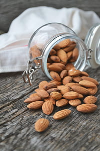 cacao seeds in jar thumbnail