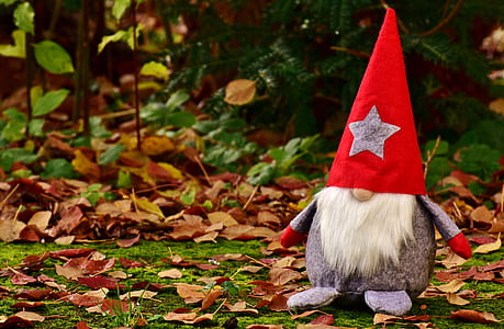 dwarf plush toy near green plants thumbnail
