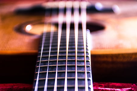 photography of brown and black guitar frets thumbnail