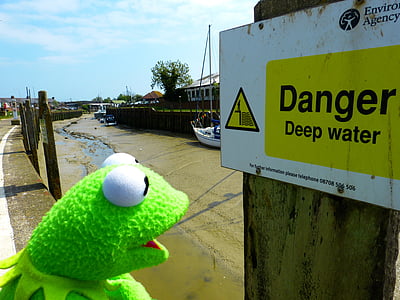 Kermit the Frog plush toy thumbnail