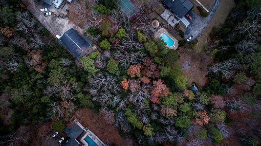 aerial view of swimming pool surrounding trees thumbnail