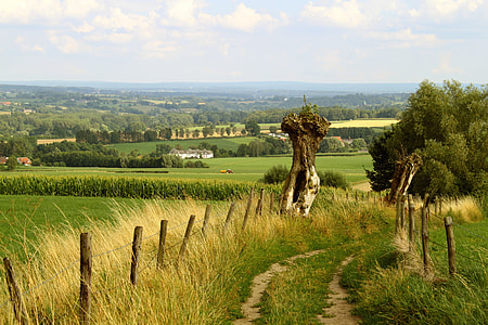 landscape photography of green grass field thumbnail