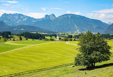 Green Trees on Green Fields thumbnail