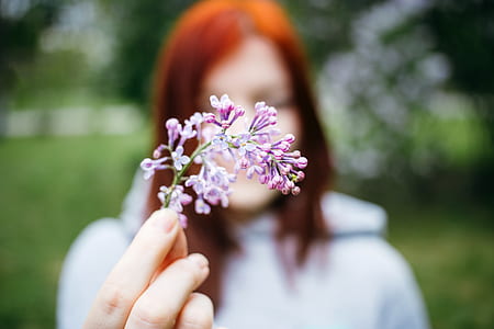 woman holding purple petaled flower thumbnail