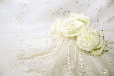 photo of white rose with ribbon lace thumbnail