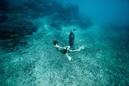 person diving in ocean thumbnail