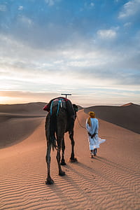 man beside camel walking on desert thumbnail