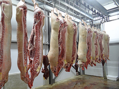 Pig, Pork, Slaughterhouse, Butcher, Meat, swine thumbnail