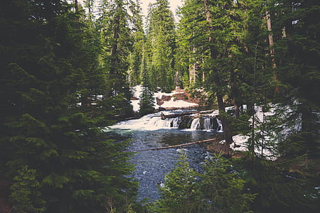 cold, snow, landscape, nature thumbnail