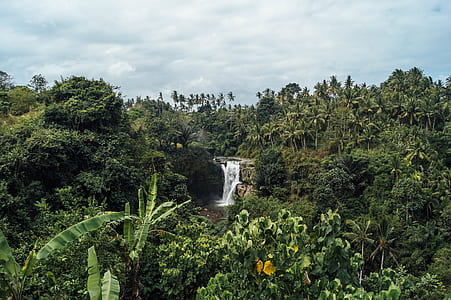 aerial photography of waterfalls during daytime thumbnail
