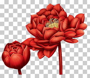 Blood and roses free ebook pdf download