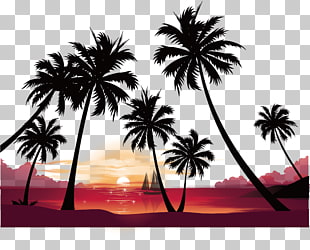 35 News Summer Beach Aesthetic Background Summer Background