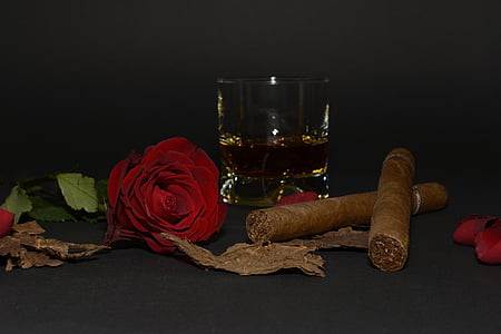 two brown cigars beside red rose flower thumbnail