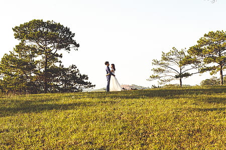 groom and bride hogging on green grass field thumbnail