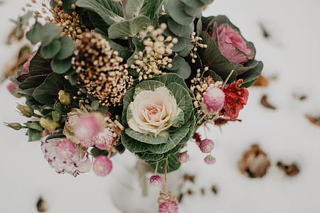 beige and pink petaled flowers in vase thumbnail