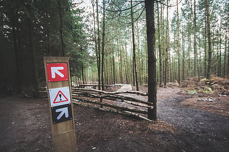 brown wooden fence near trees thumbnail