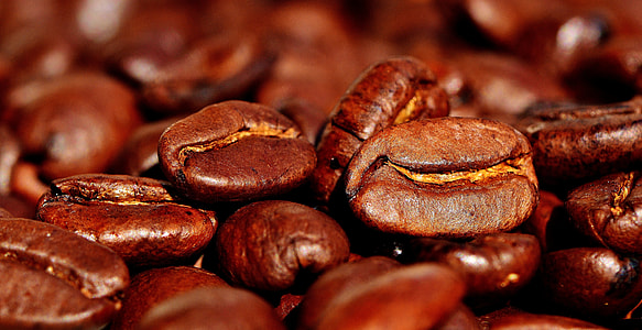 shallow focus photography of coffee beans thumbnail